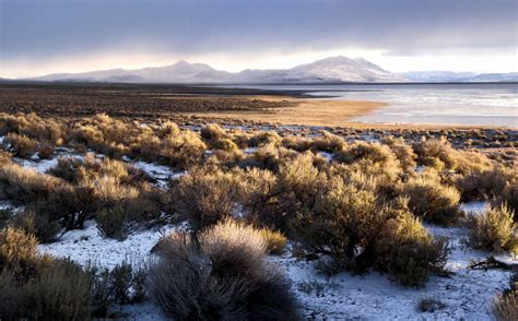 2024 Guide to Alvord Desert Hiking, Hot Springs and Camping